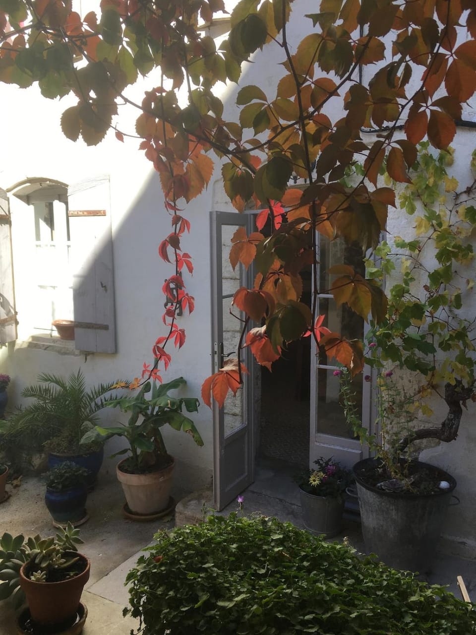 Appartement de charme au pied du château Apartment in Provence-Alpes-Côte d'Azur