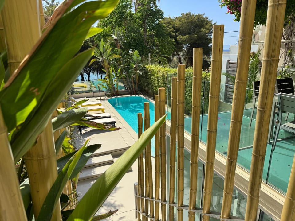 Garden, Pool view, Swimming pool