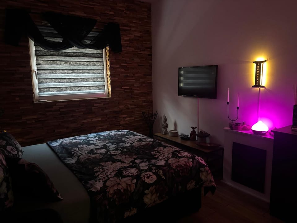 Inkognito Apartment in Saxony