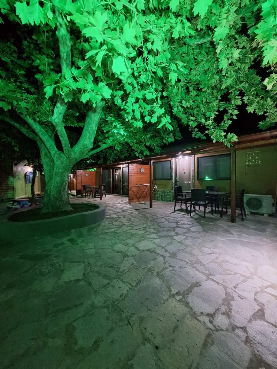 Patio, Night, Garden, Garden view