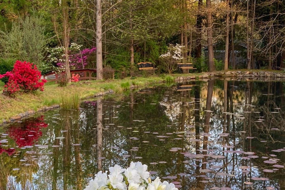 Private Patio & Pond: Serene Black Mountain Escape House in Black Mountain
