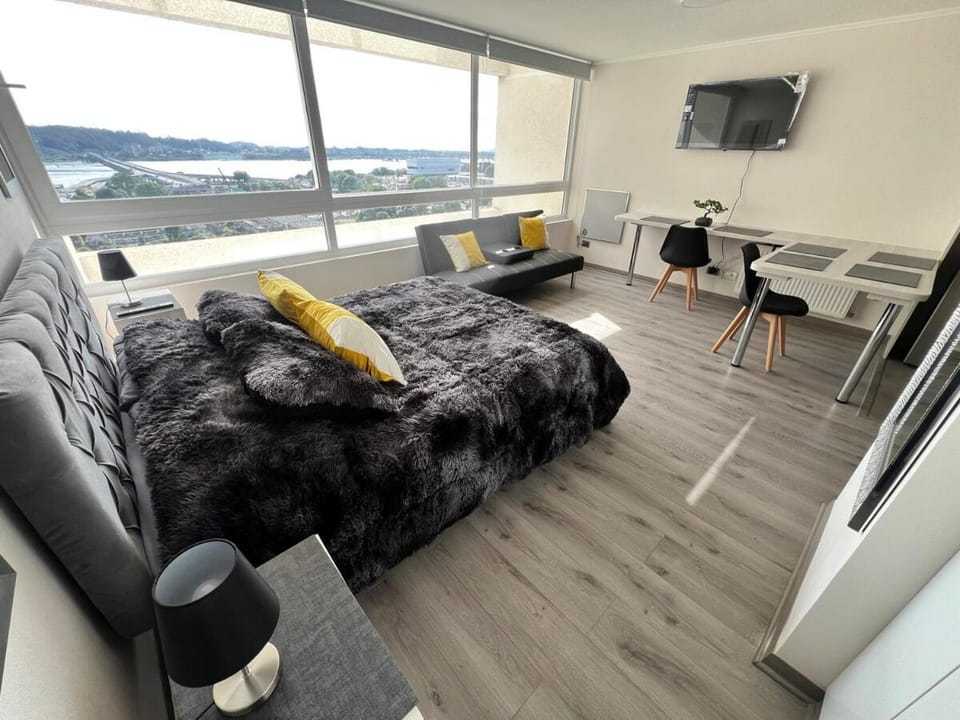 LA VISTA MAS MARAVILLOSA DE CONCEPCION, ubicación perfecta, precio buenisimo, hermoso y comodo departamento Apartment in Bio Bio, Chile