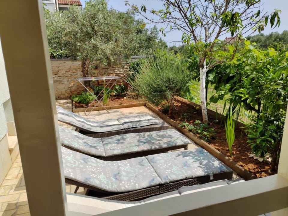 Garden, sunbed