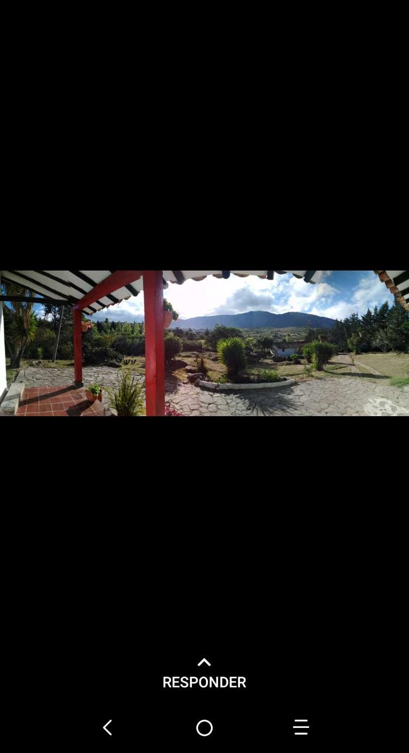 Garden view