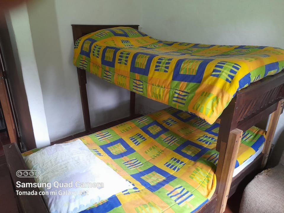 bunk bed
