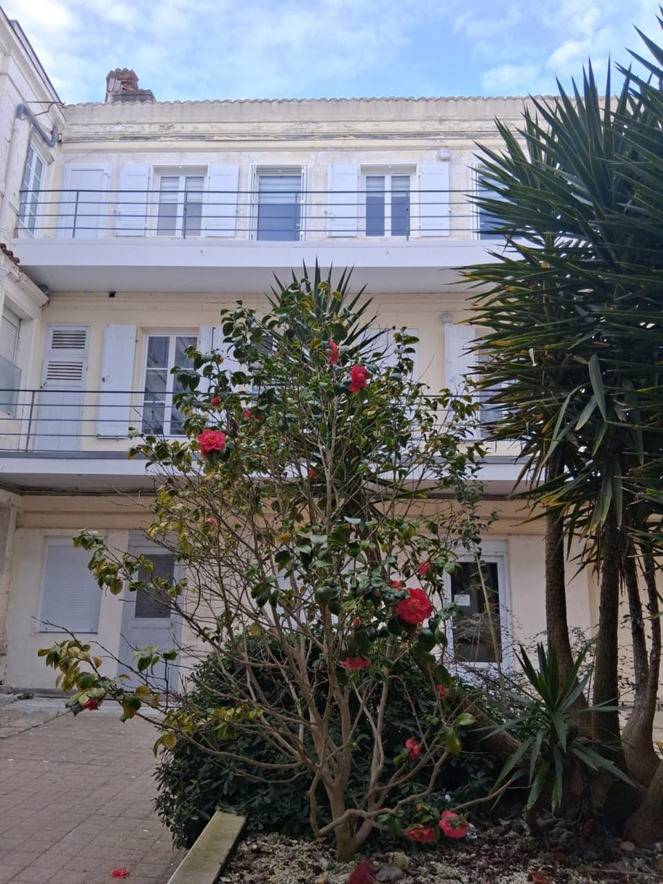 Garden view