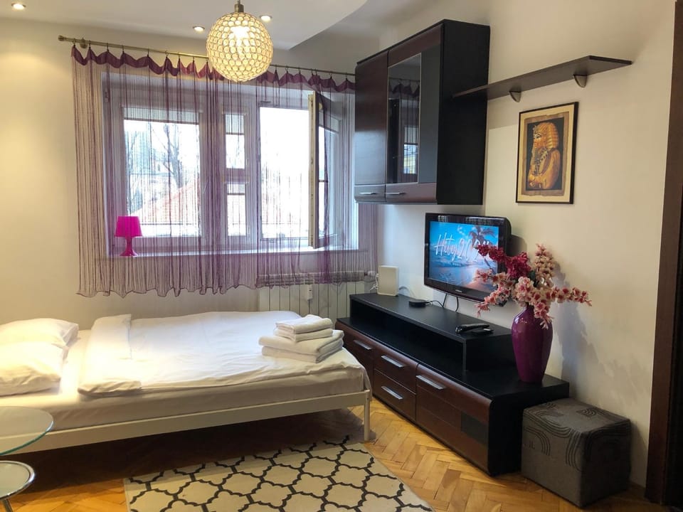 Bed, TV and multimedia, Photo of the whole room, Inner courtyard view, pet friendly, soundproof, towels