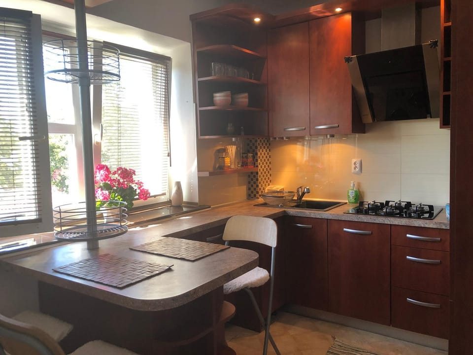 Kitchen or kitchenette, Dining area, oven, stove
