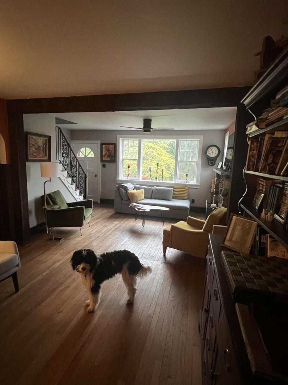 Living room, Seating area, Pets