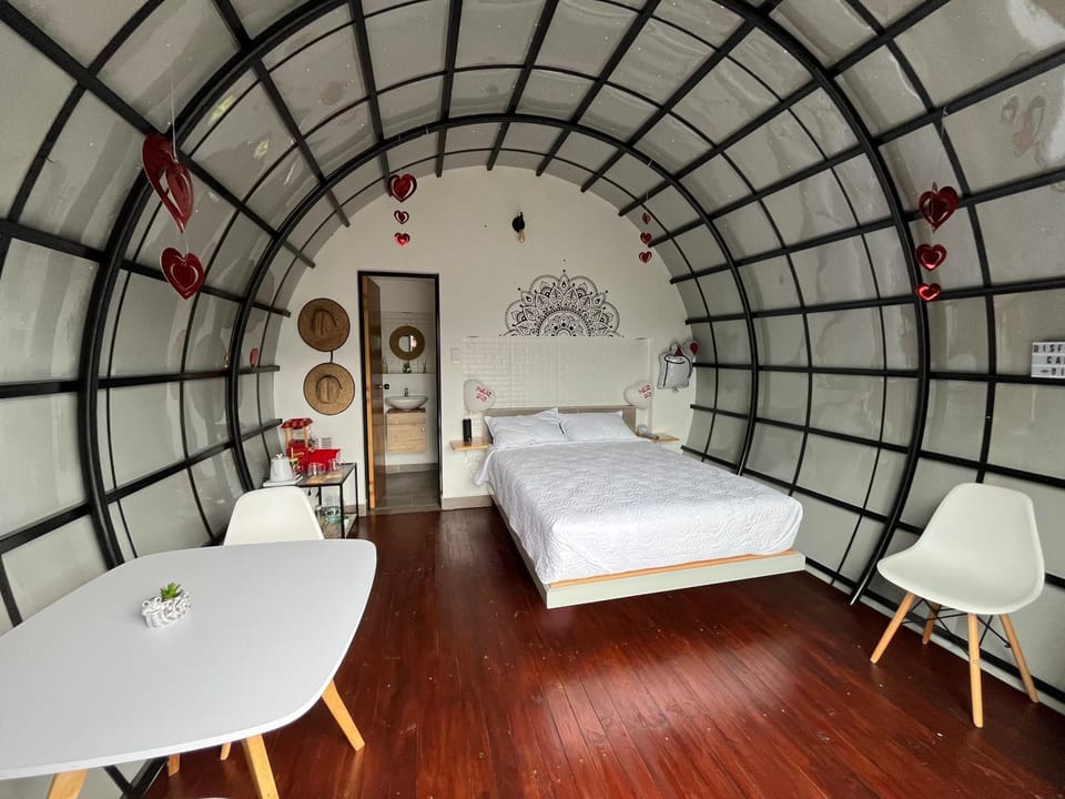 Bed, Photo of the whole room