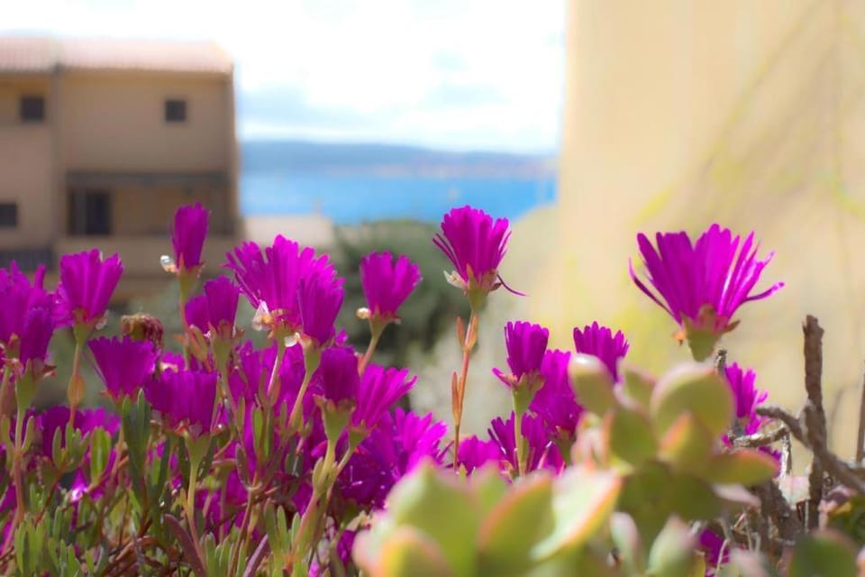 Day, Natural landscape