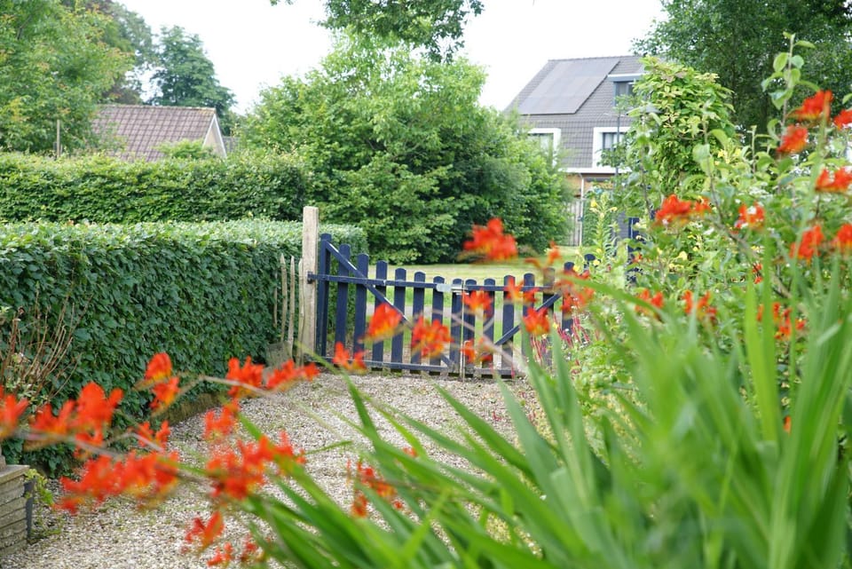 Garden, Garden view