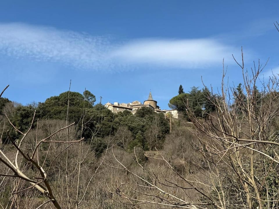Natural landscape