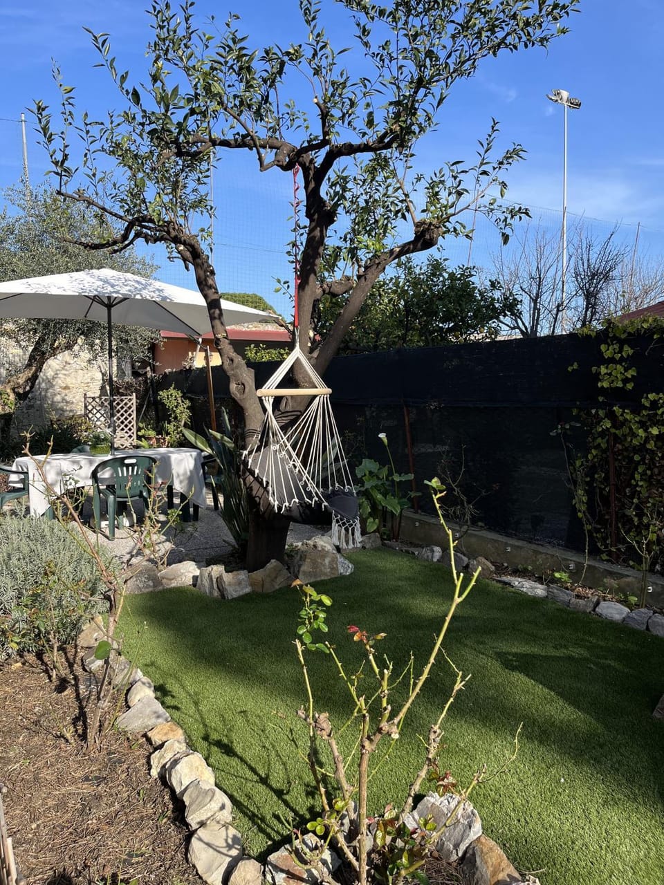 Garden view