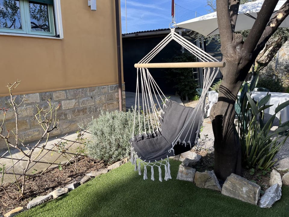 Spring, Day, Garden, Garden view