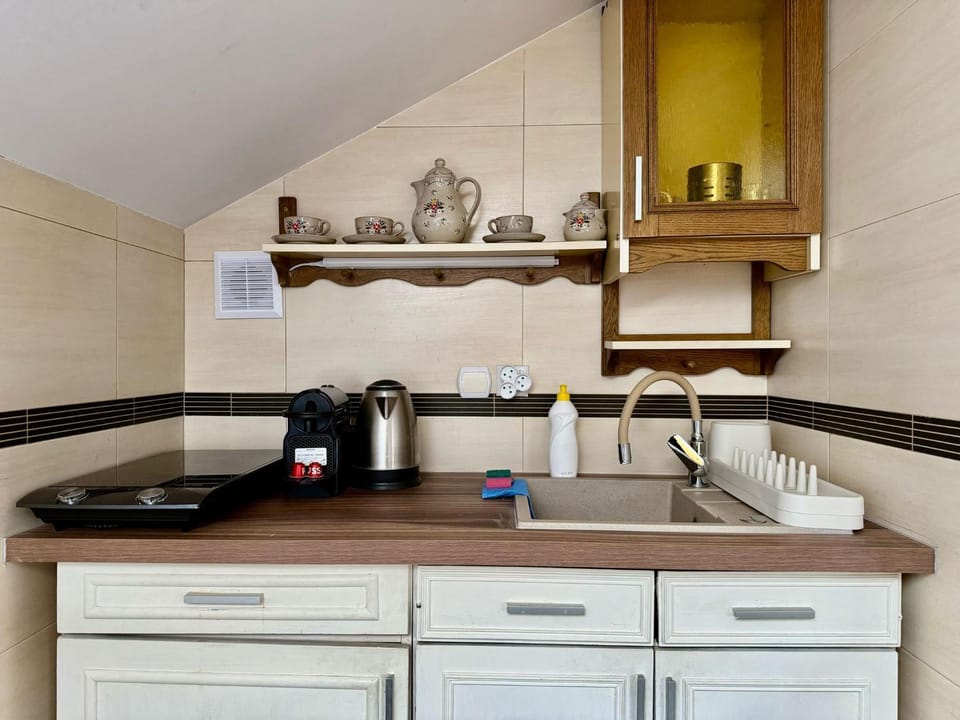 EASY RENT Apartments - Willa Alba Apartment in Masovian Voivodeship