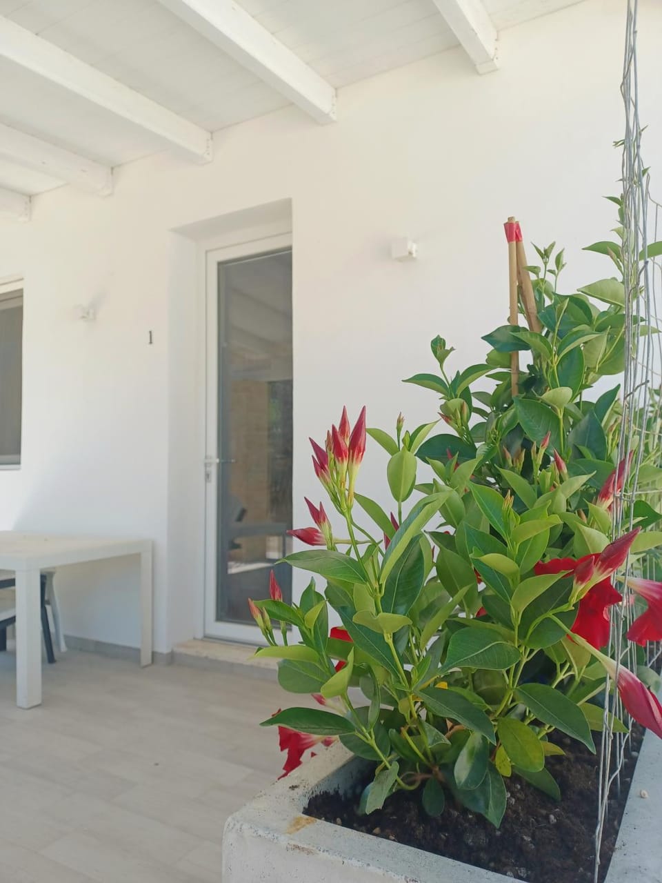 Property building, Patio, Facade/entrance