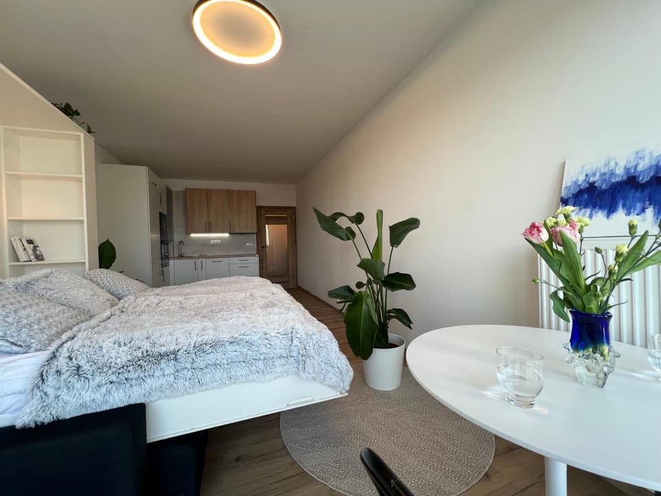 APARTMENT Blue Heaven Apartment in Brno