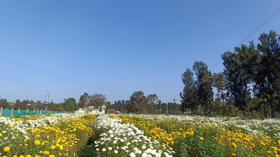 Jacob Farms Villa in Tamil Nadu