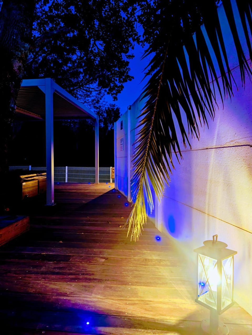 Night, Garden view