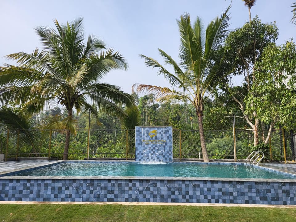 Swimming pool, Swimming pool