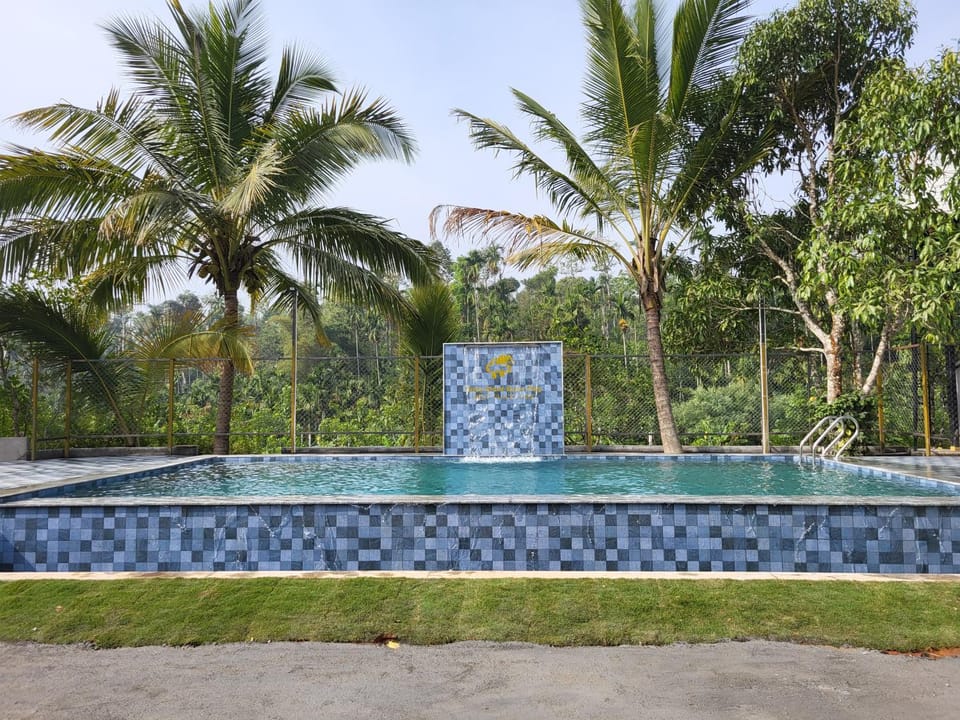 Swimming pool, Swimming pool
