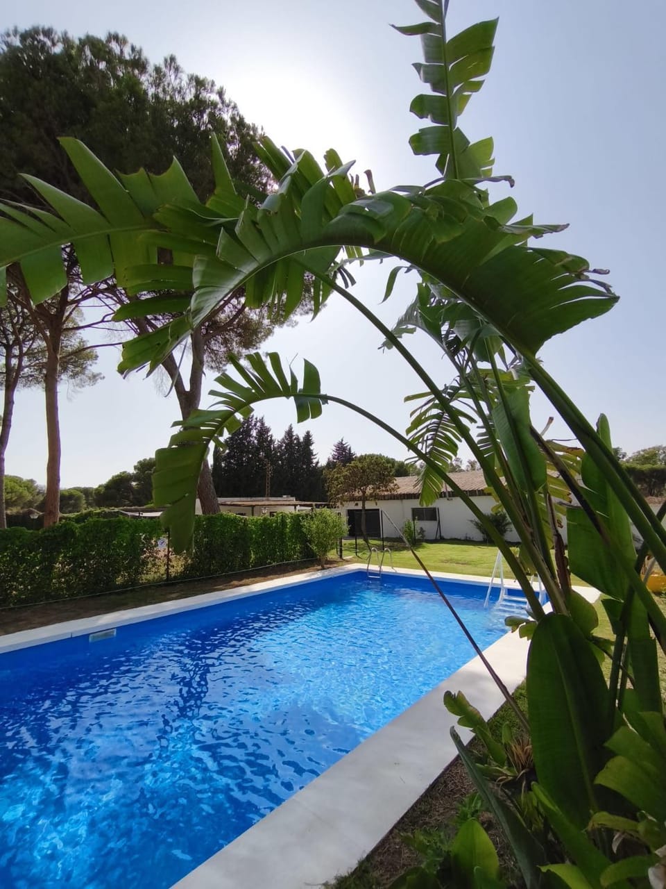 Swimming pool, Swimming pool