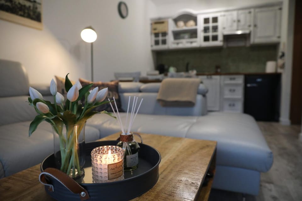 Wenus Apartament Apartment in Poland