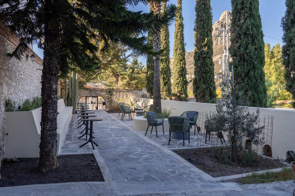 Patio, Garden