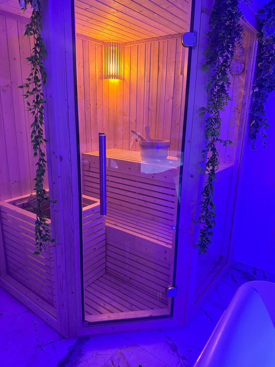 Loveroom de luxe avec jacuzzi sauna vapeur écran 300 cm Apartment in Metz