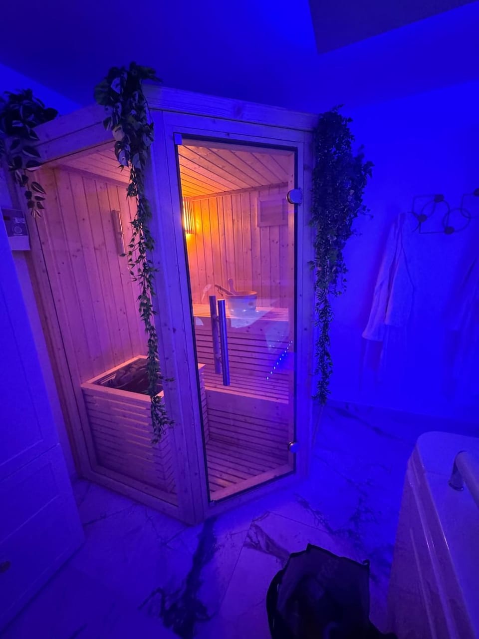 Loveroom de luxe avec jacuzzi sauna vapeur écran 300 cm Apartment in Metz