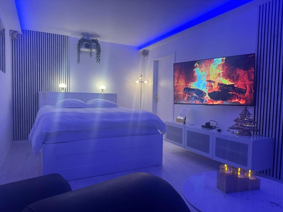 Loveroom de luxe avec jacuzzi sauna vapeur écran 300 cm Apartment in Metz