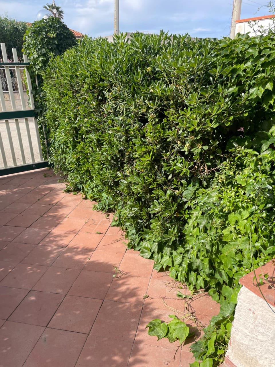 Garden, Garden view