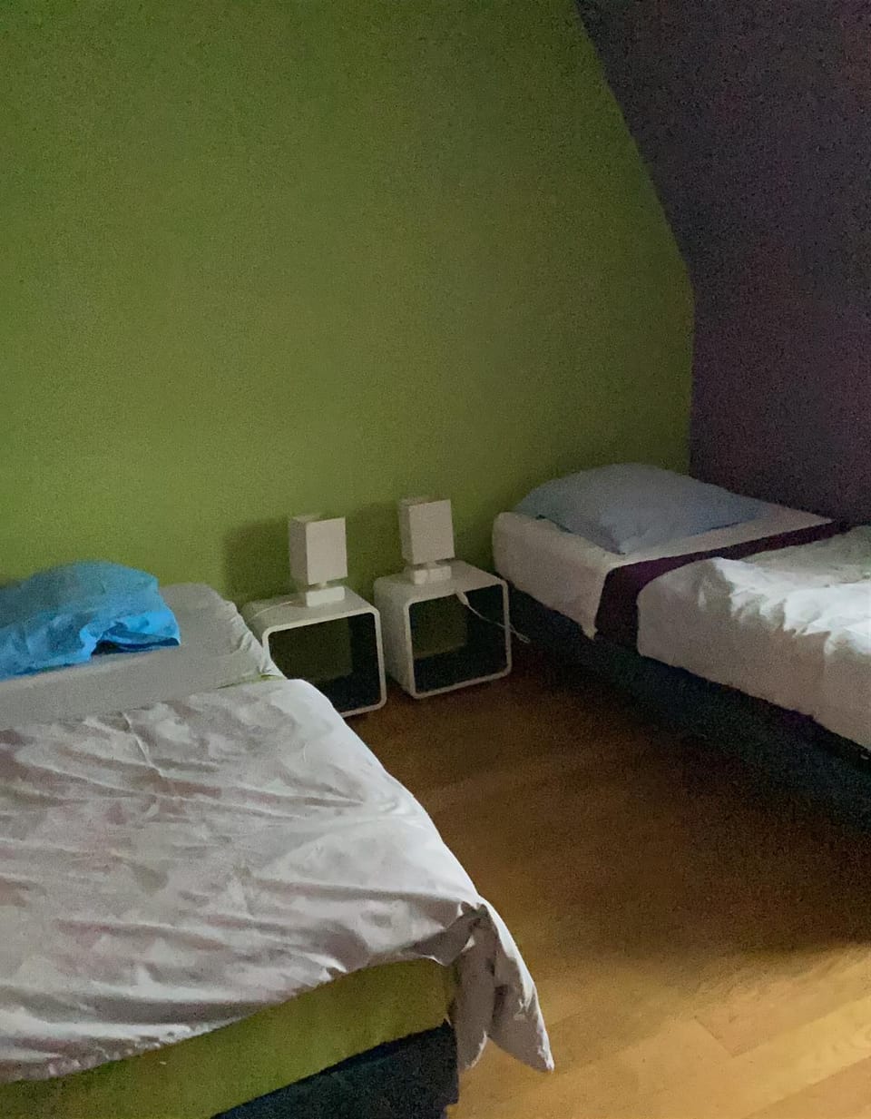Le chardon lorrain Apartment in Nancy