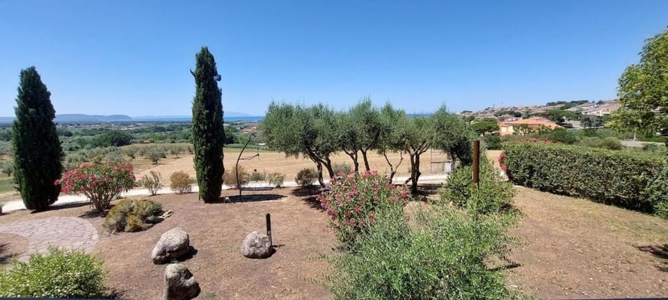 Natural landscape, Garden, Garden view