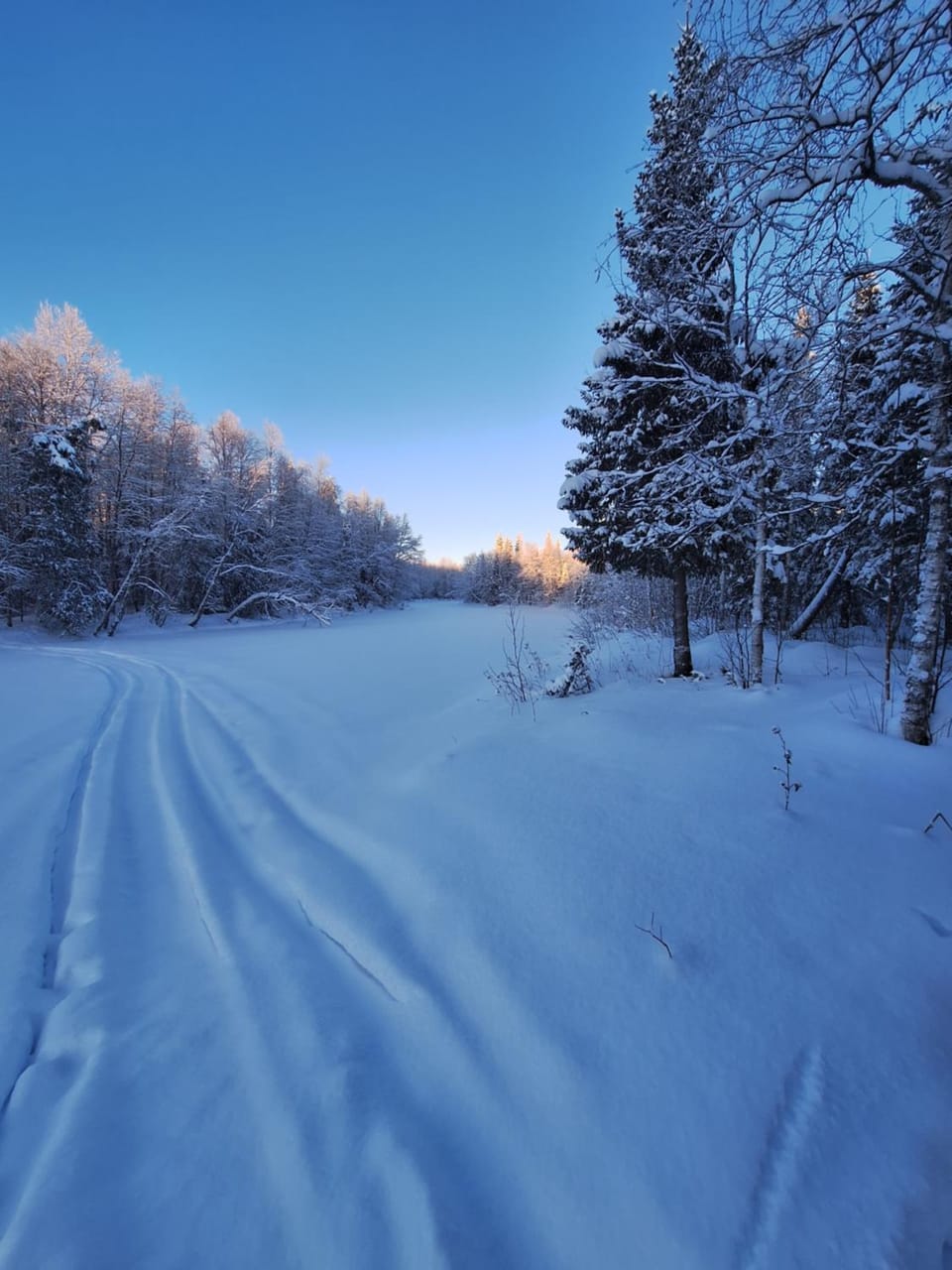 Natural landscape, Winter