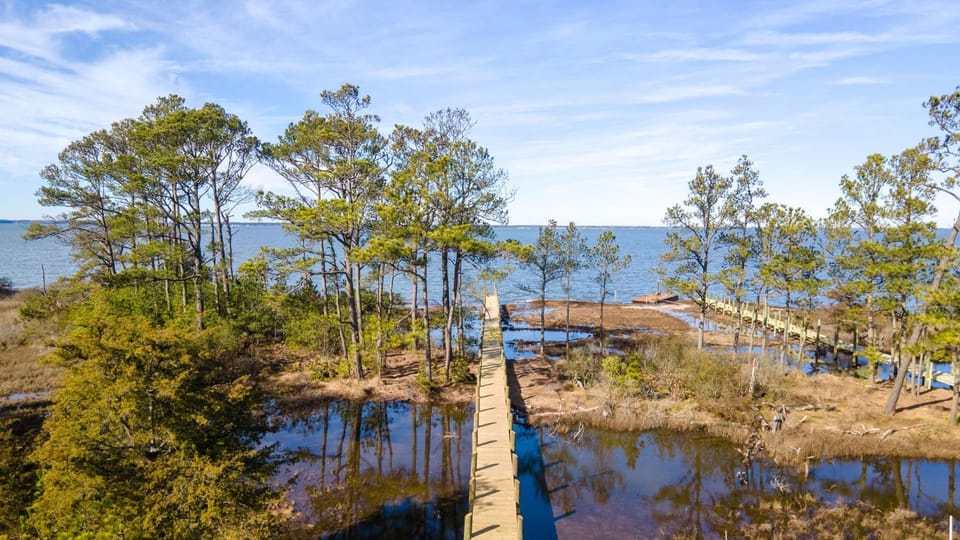Wildcat Haven - Waterfront & phenomenal views! House in Chincoteague Island
