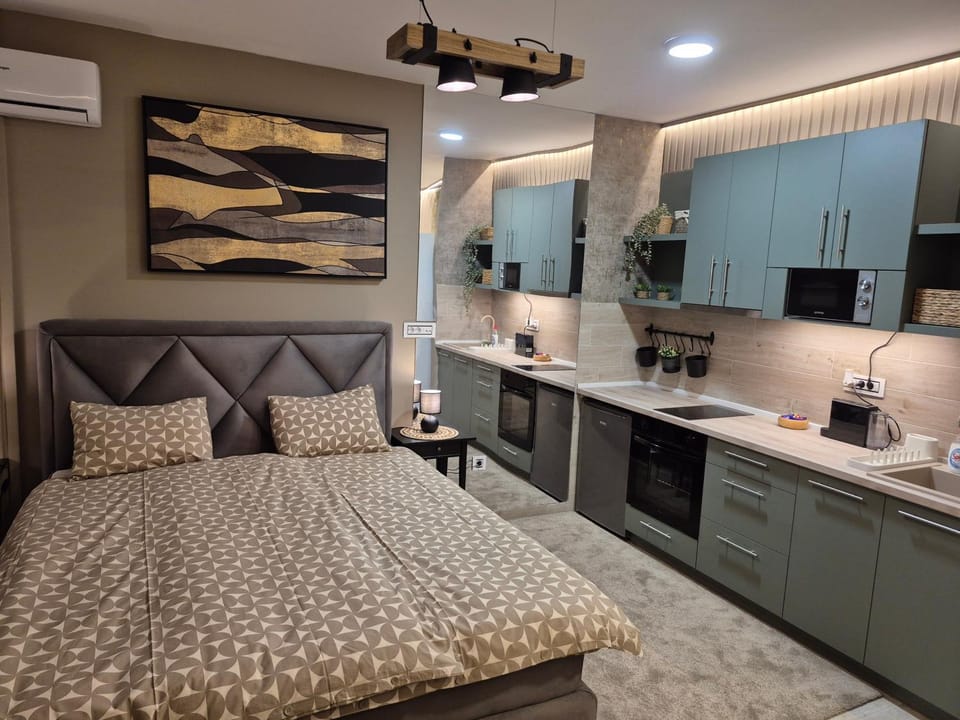 Peppermint LUX Apartment in Novi Sad