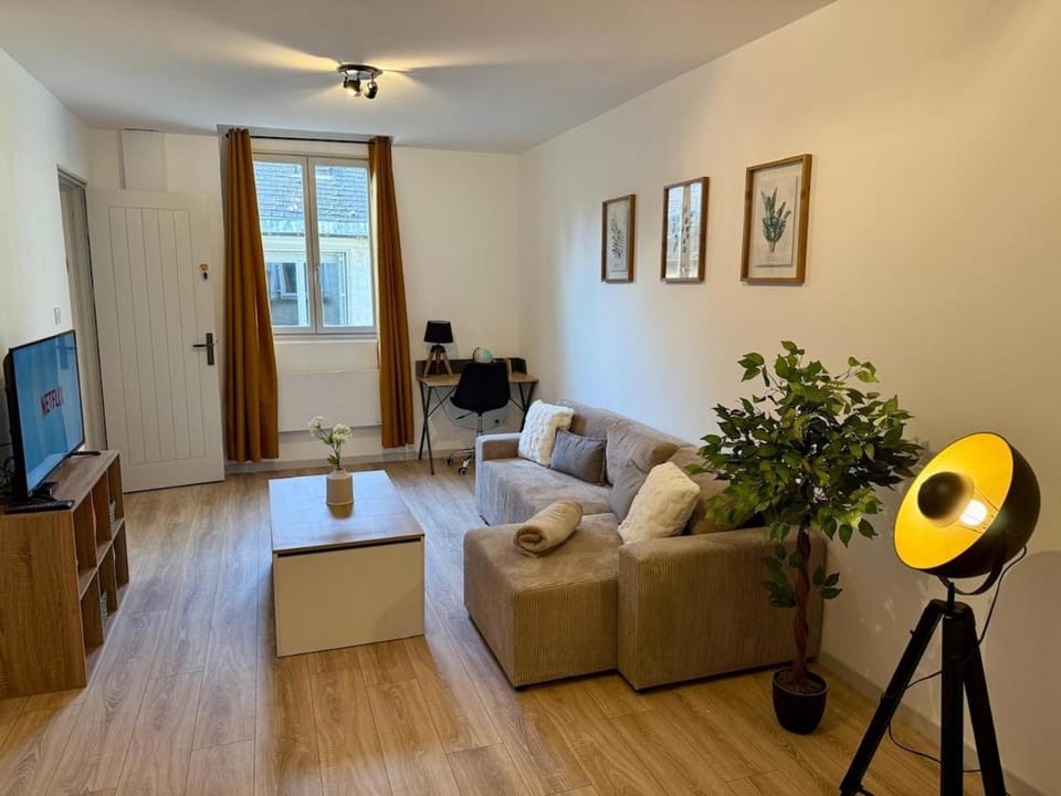 Le Secret D'Auron - Wifi - Hyper-Centre Apartment in Bourges