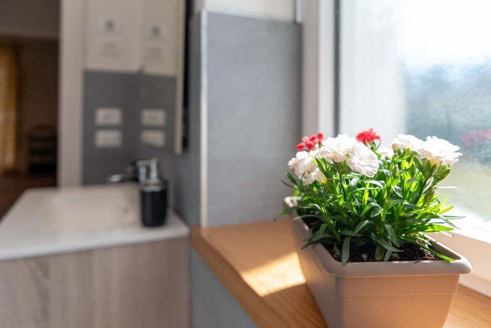 Casa Adriana Apartment in Trentino-South Tyrol