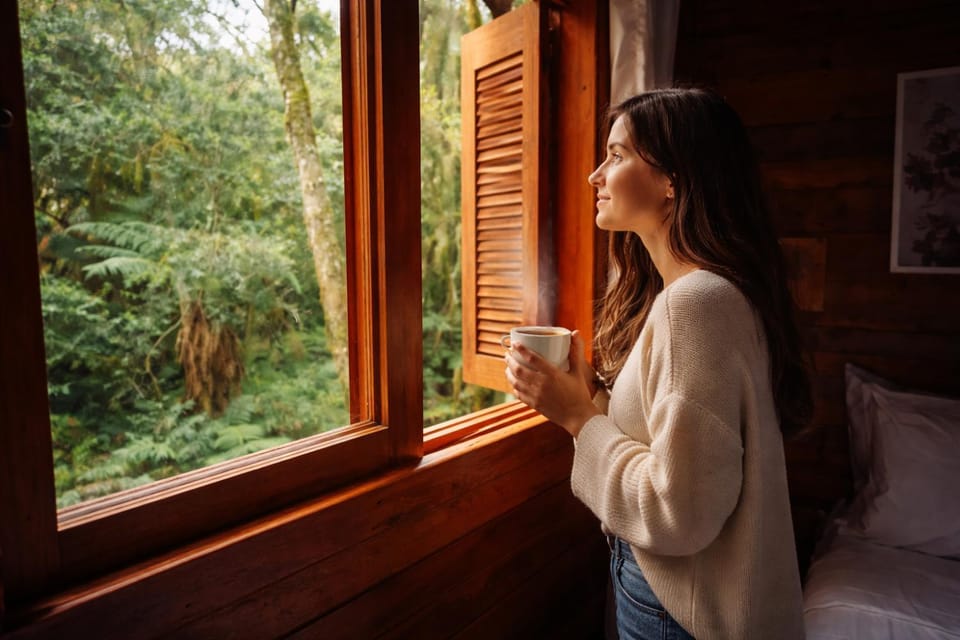 People, Garden, View (from property/room), Bedroom, Guests, Garden view