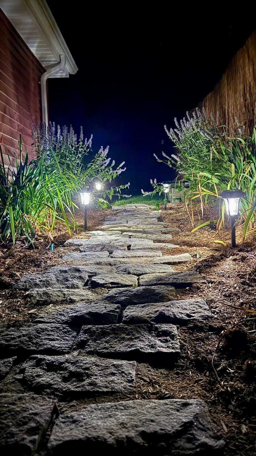 Night, Garden view