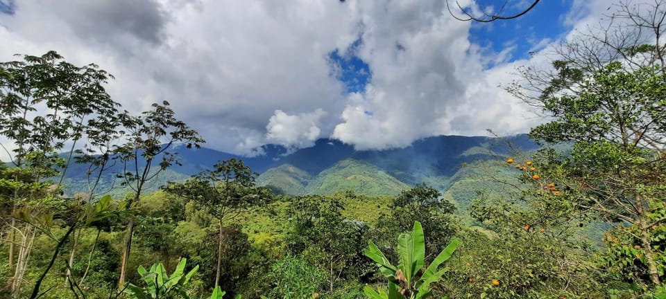Buena Vista Ecohotel Campground/ 
RV Resort in Valle del Cauca