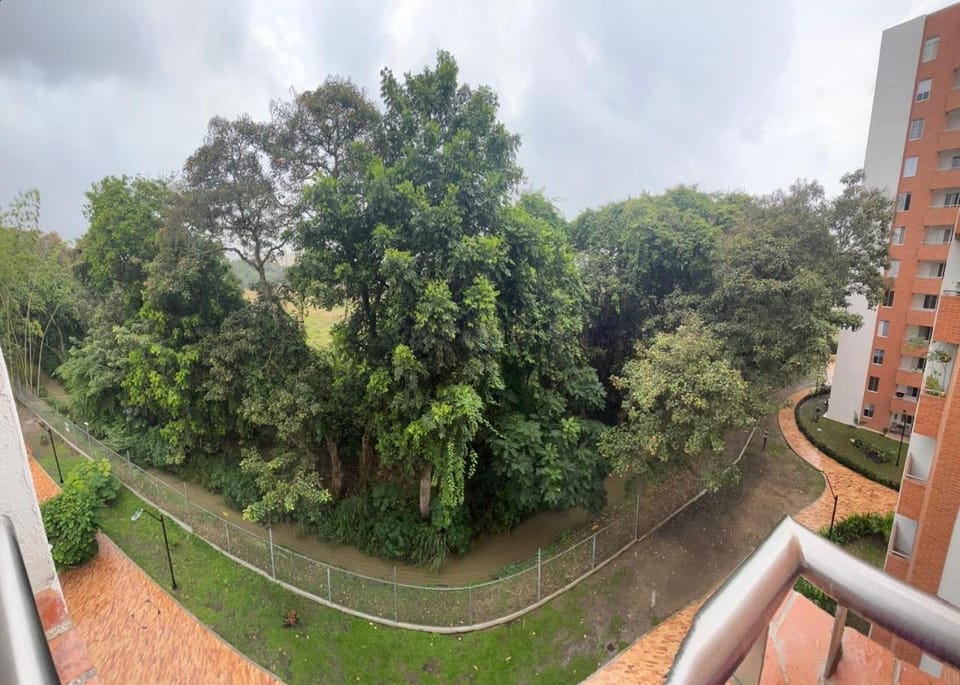 Garden view