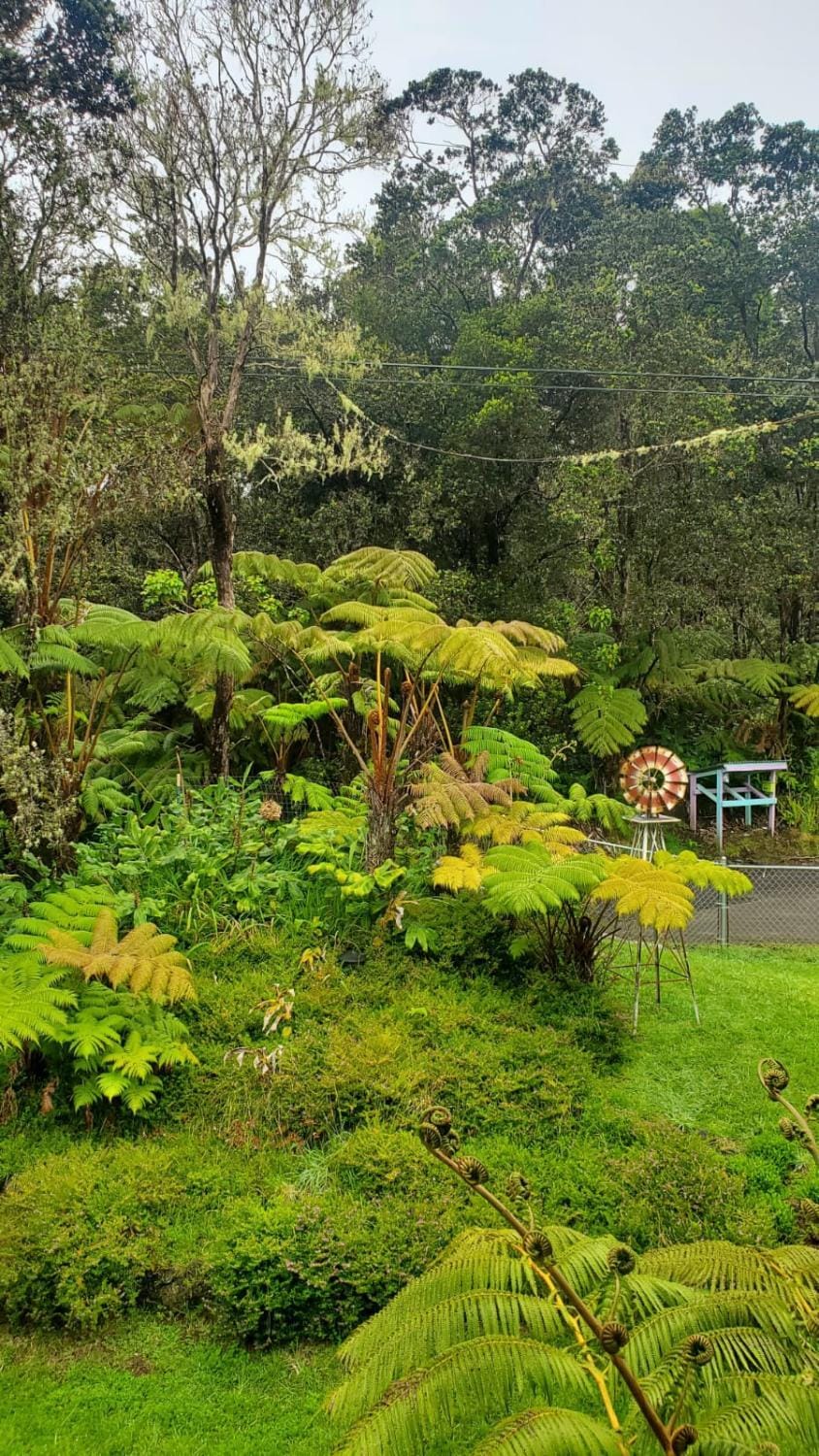 ʻOhiʻa Lehua Forest House Apartment in Volcano
