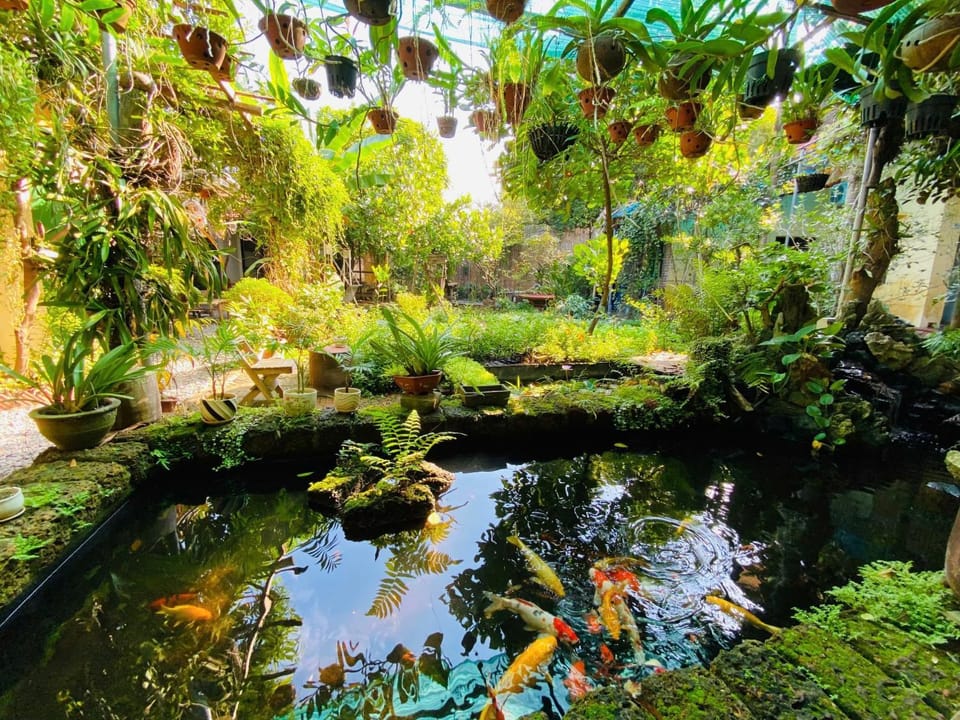 Day, Natural landscape, Garden, Garden view