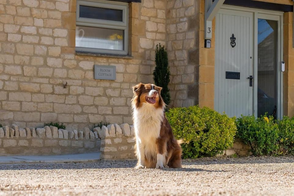Bloom Cottage - Cotswolds escape House in West Oxfordshire District