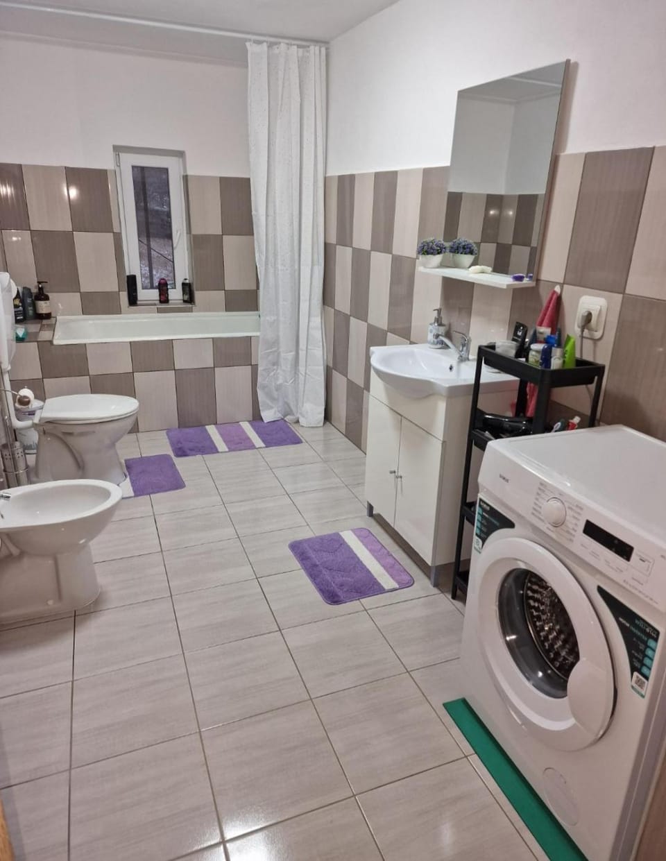Toilet, Bathroom, hair dryier, washing machine