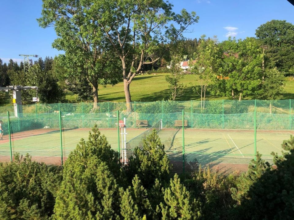 Tennis court
