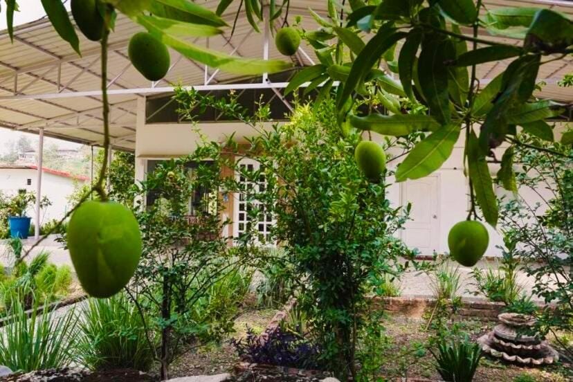 Doon Peaceful Villa Villa in Dehradun